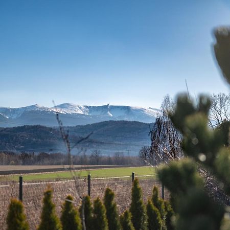 Domki W Karkonoszach Szmaragdowy Widok Wojcieszyce Zewnętrze zdjęcie